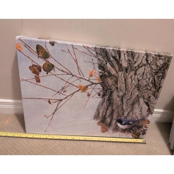 'Late Snow Warbler' Canvas Art by Chris Vest - Picture 3 of 4